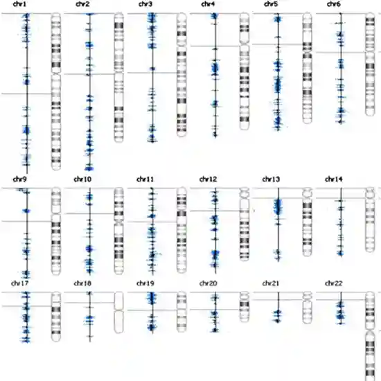 Chromosome Exon Microarray, High Resolution